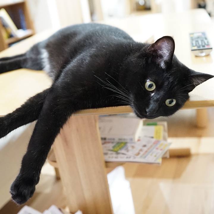 1c472534 bc38 4307 9fe8 d717eb1e2942 1563493488318