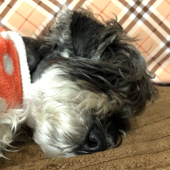 1c472d8c 550f 4a99 acb1 f1e1751fd110 1701571733816