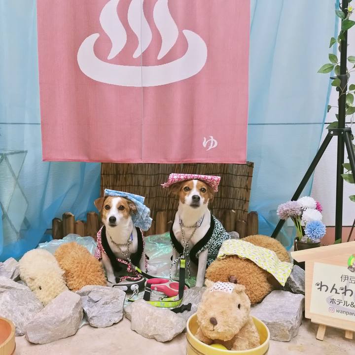 1c474cab cc8b 4f94 b9b2 93c27ab48091 1768563610358