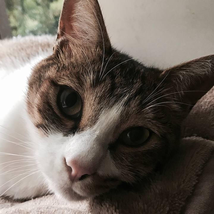 1c474cfc 4756 417f a3c6 7bb948f230a1 1508119771160