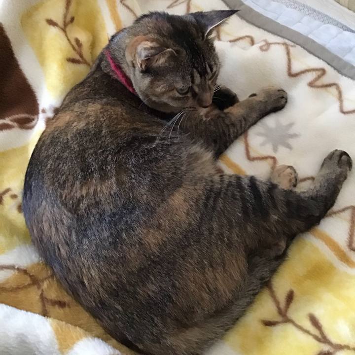 1c476ae0 11e9 4f1f 8474 934cf6d8f966 1601508076476