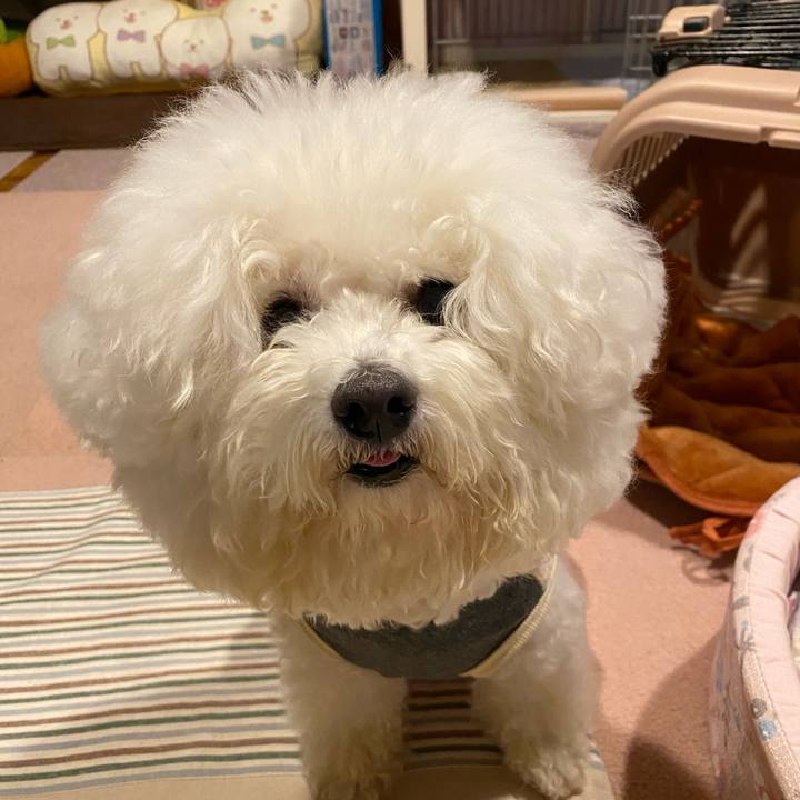 1c478aec bf03 4b63 9fd5 ccc0f0765433 1733818529940