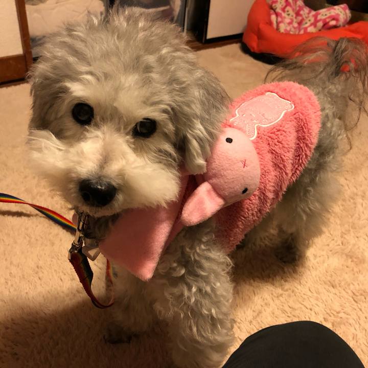 1c479490 c2ac 4ac8 9c86 7e14a98c6c8f 1546905583221