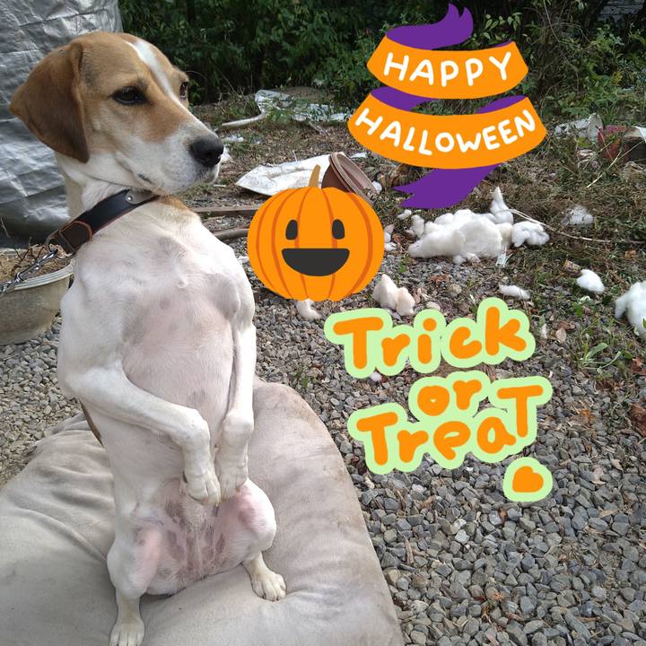 1c4796a5 a380 4c80 b559 1e11a37f55d5 1635520574914