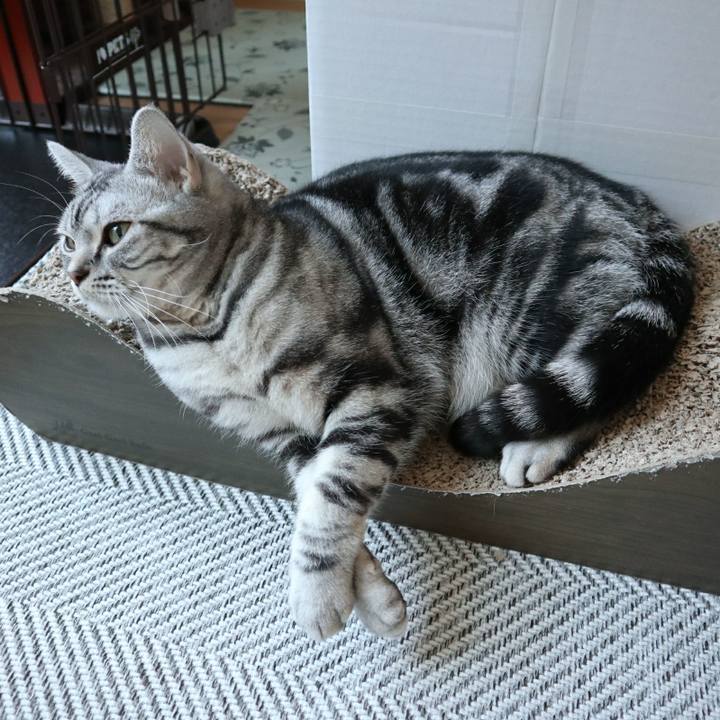 1c47a96c c5e0 425c 8c6d d9a1de9f0ec5 1584698076768