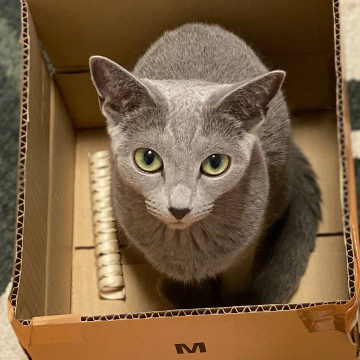 1c48193e c028 4635 ad65 c6080ff14f6c 1667543209884