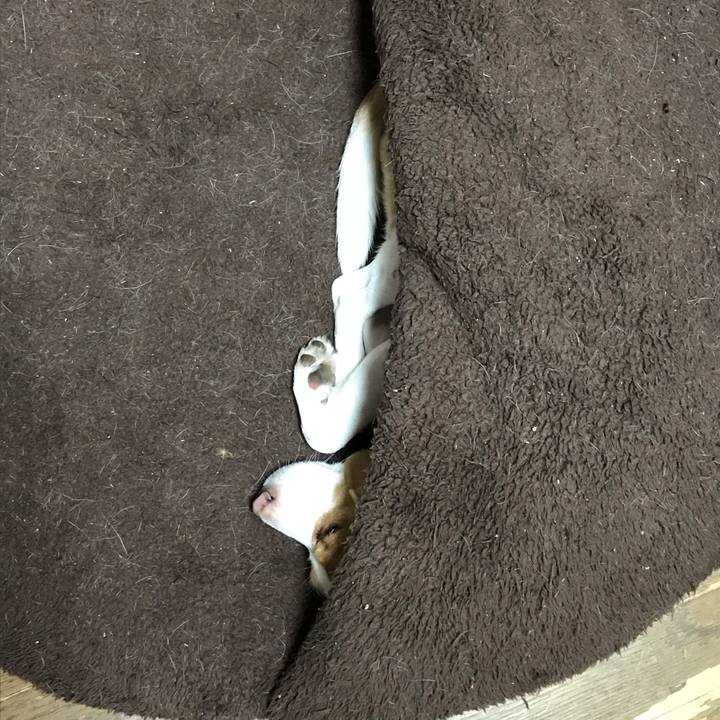 1c483a94 9859 4129 b5ba 48ce5f7c758f 1544178017424