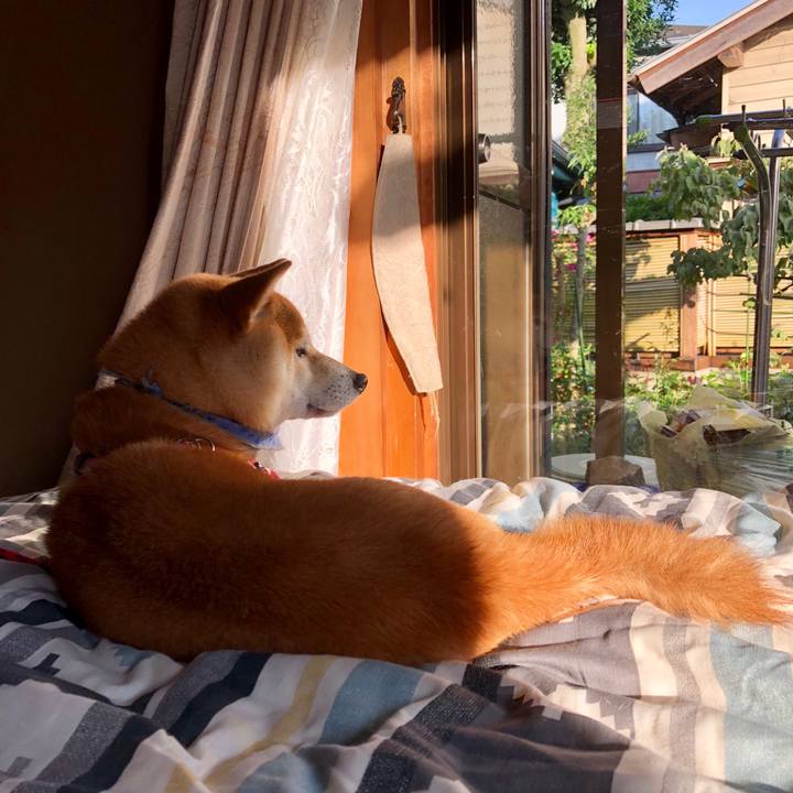 1c486e05 a7b1 4e3a 8c97 cc1200f44ff3 1544498585719