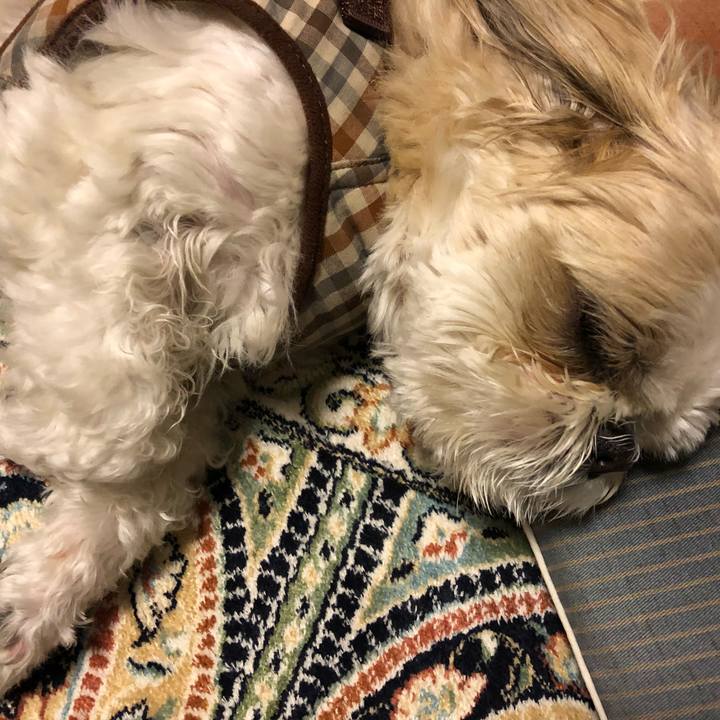 1c48906f f37e 45dd a4e7 5a9da4b82edc 1524259837002