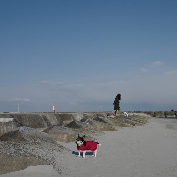 1c48a258 390e 4bc6 b63d 83829dd57e95 1552799539447