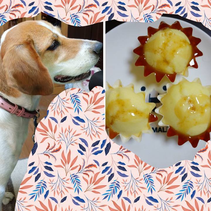 1c48acaf 622f 43b3 8ceb f939563196eb 1597134959904