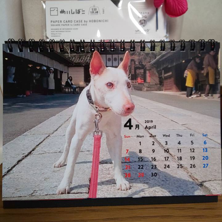 1c48bf86 b254 490d b434 4dcfa53c584b 1554508936403