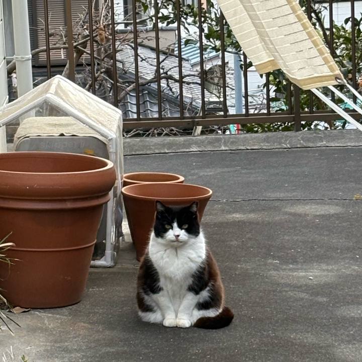 1c48f209 2dd4 4ec2 9393 073ded3e27c9 1771057134001