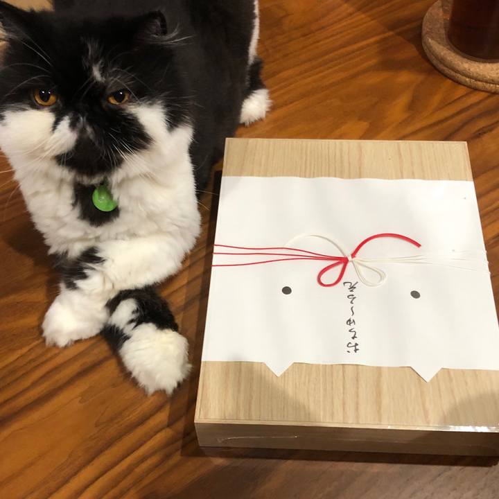 1c48f625 2933 4ce3 b448 55861795ae35 1565788977291