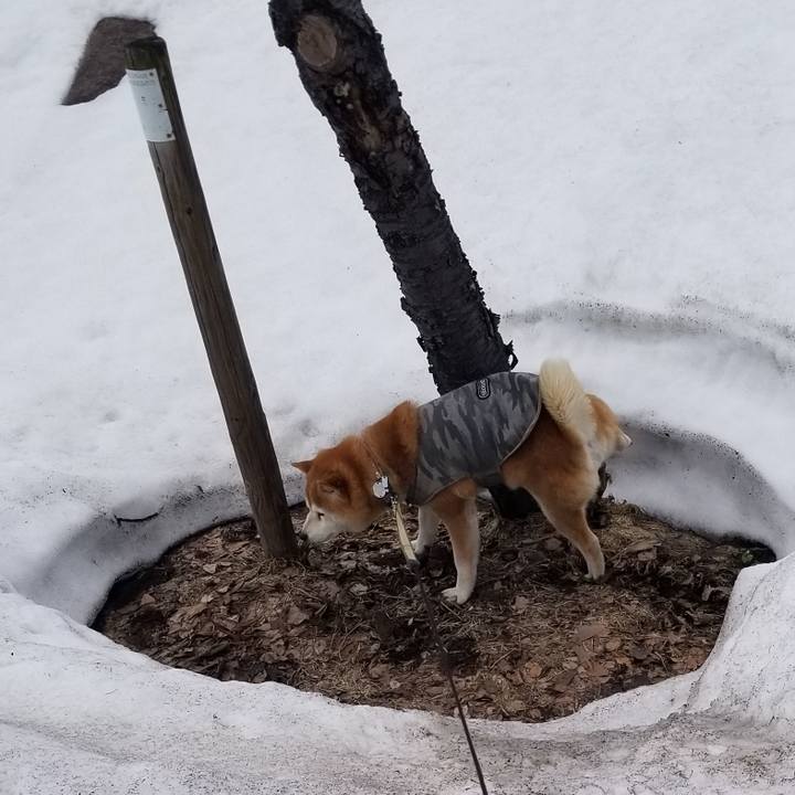 1c48fccc 4ac9 47ce 8f71 84b09a02e9ac 1648960749437