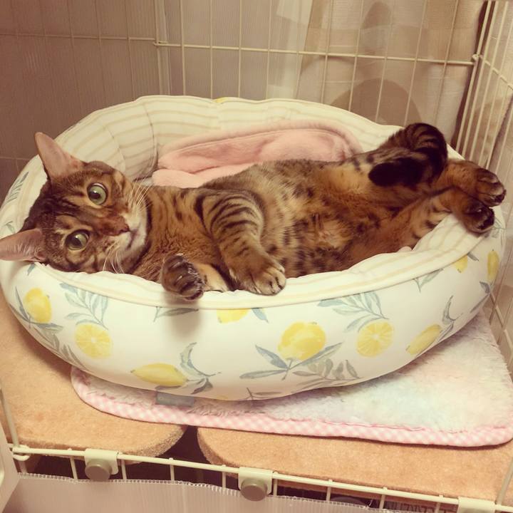 1c4909f4 8220 4c13 a80e dbf0c7c00a2f 1633490079803