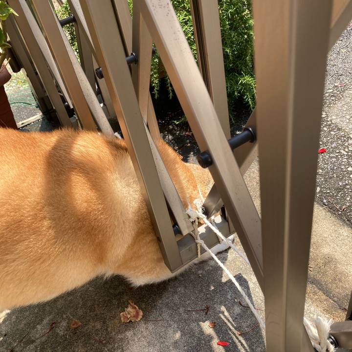 1c490e8d c937 4f8b 81aa 62150da15ed0 1624437841232