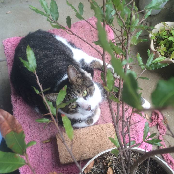 1c499454 32e8 44bd 83bf 202067e89f83 1539509177183