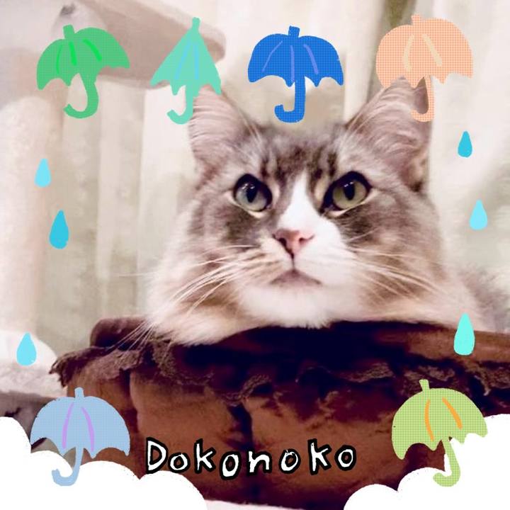 1c49b6fa d8f3 441f a5ca e9602692e313 1718126286318