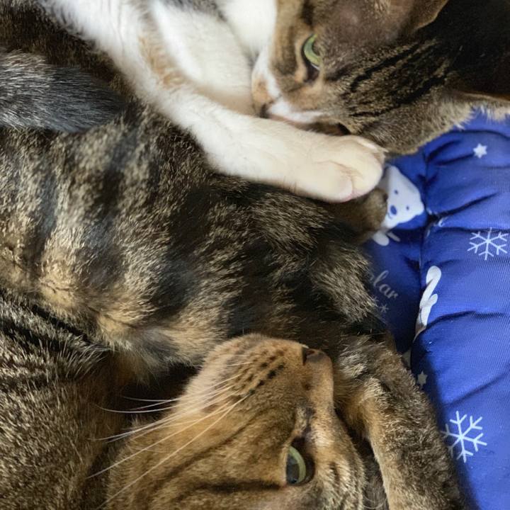 1c49e106 a387 42e1 9694 235900dff031 1565915787156