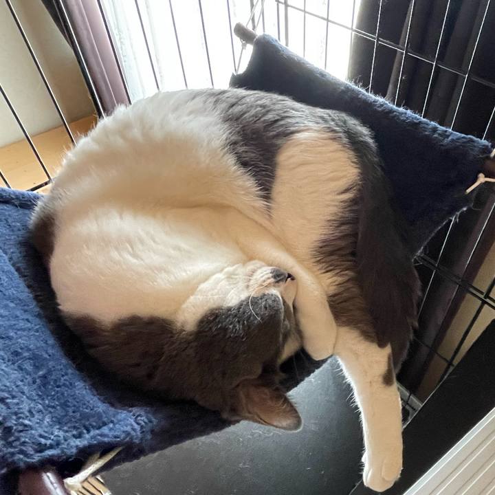 1c49f68b 24e1 4c4e ab2e 39635decdd07 1661927923450