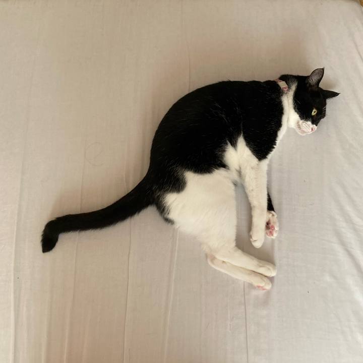 1c49fa57 cbe3 422a 8c46 6c6c3f2087bd 1662630584140