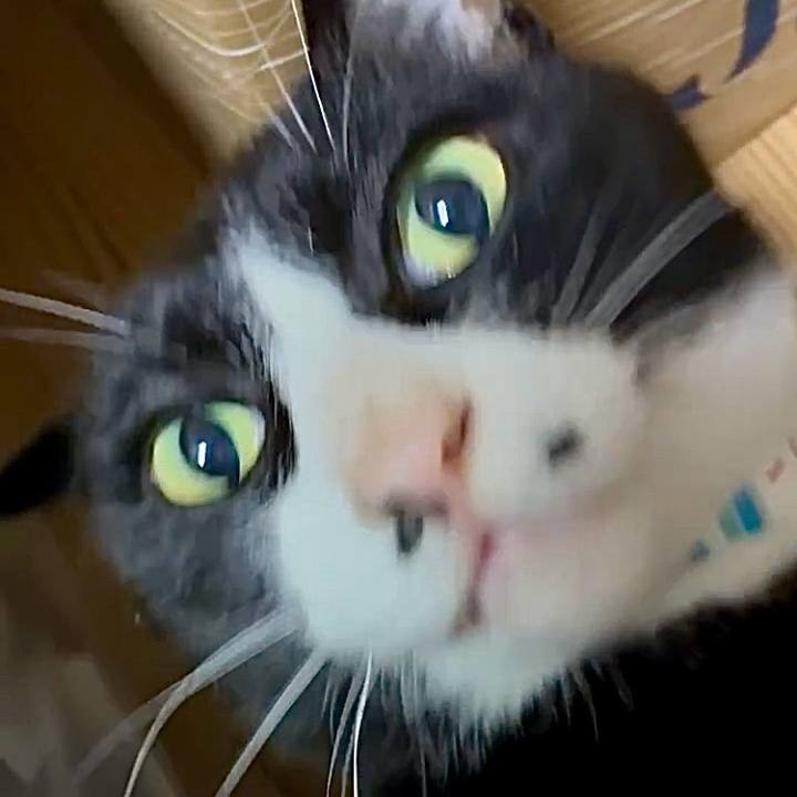 1c49fef1 4f77 49f5 9647 b26798d78201 1748055978560