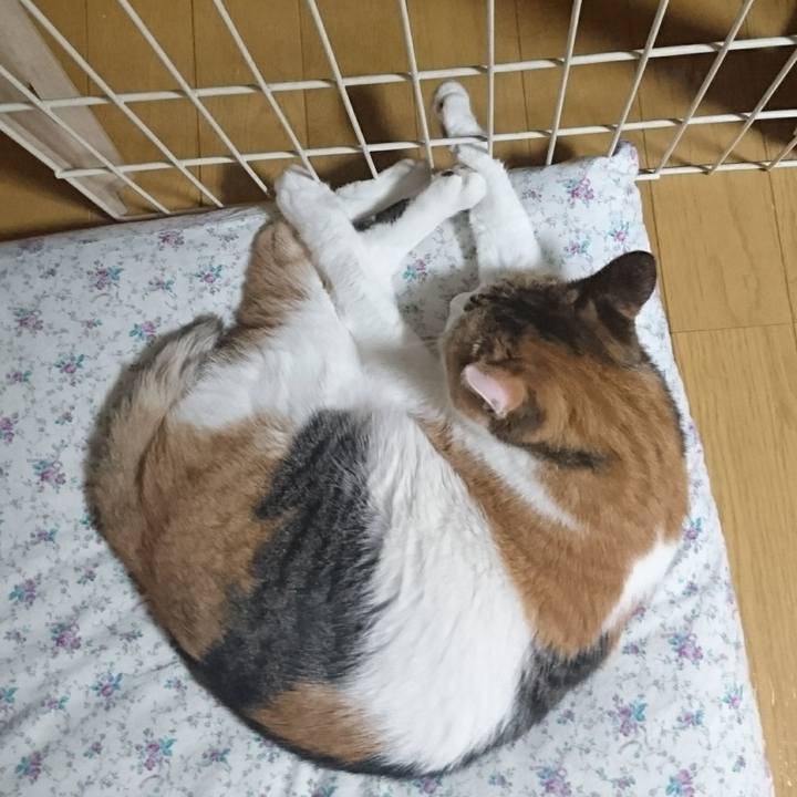 1c4a22a6 34a6 4178 8f88 83791302fcd3 1577662177842