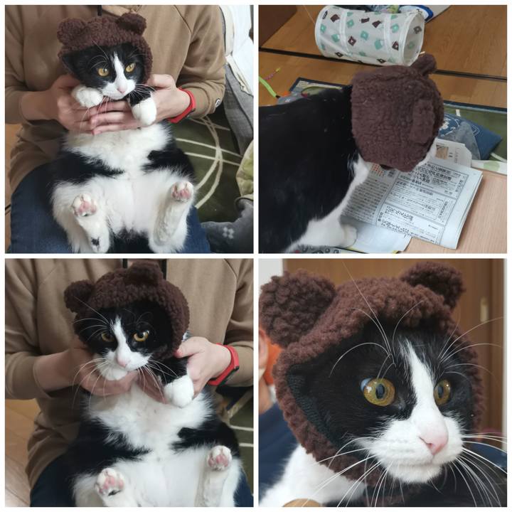 1c4a584b 764f 4dcf 971a 84e09f4c3037 1611994011225