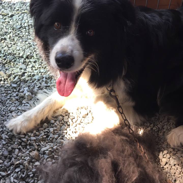 1c4a5ebb 29bc 4649 b4bb 76072a7fd5fd 1564706186695