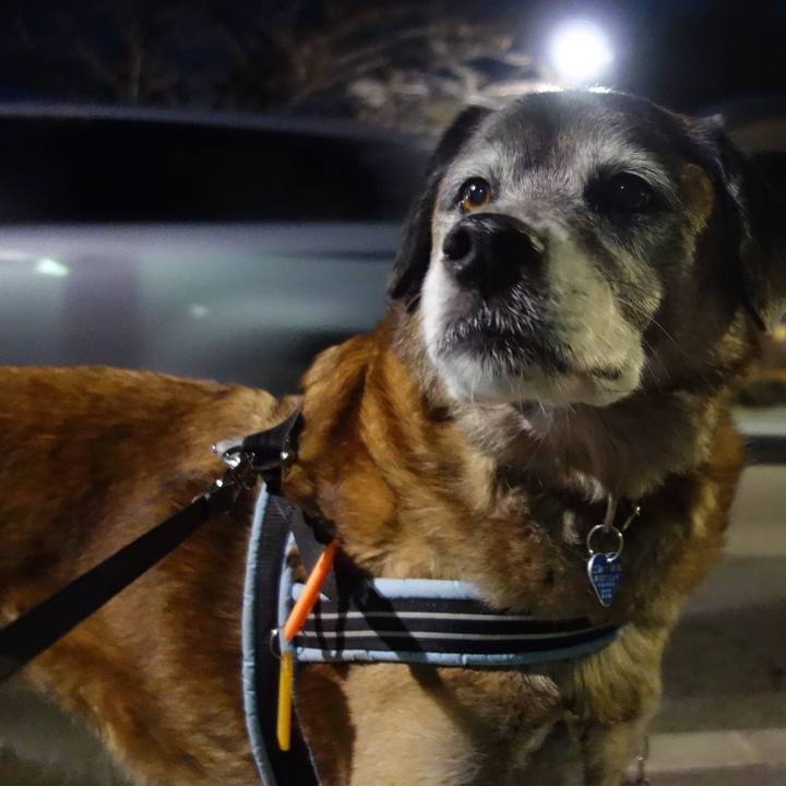 1c4a886a 6a46 4aa4 8c21 5aa17223eb0e 1547463817586