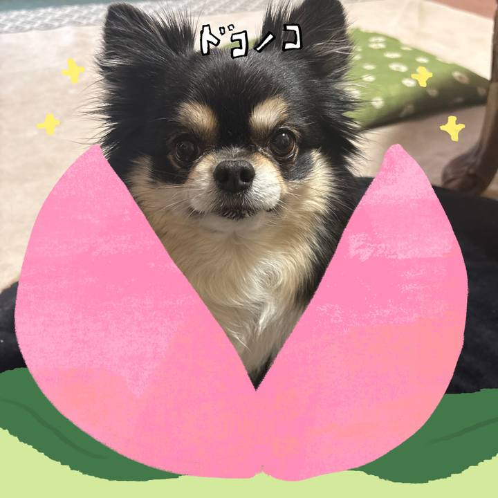 1c4a9b6a 3da4 4ce6 b6b2 6b643dd0a9fc 1772000794988