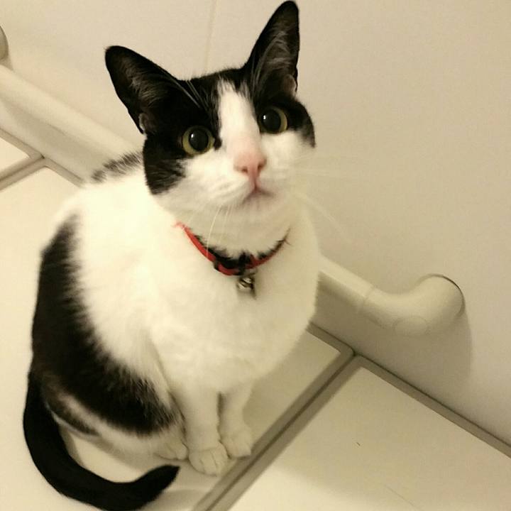 1c4ac782 6cc6 490f b6ab 31ab3feab284 1571838201118