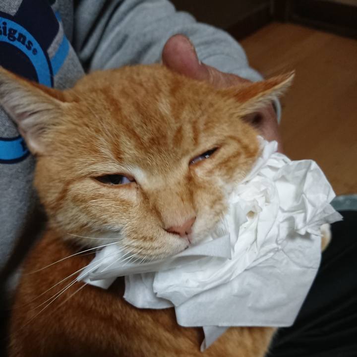 1c4ae7fa 7d12 403b 963a bb4820e05d14 1604871009831