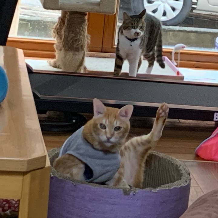 1c4aee9c f9ad 492a 9cd6 2d78d3d2d023 1628506210832