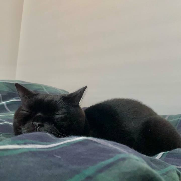 1c4b17e2 83c3 41c6 a87e 26354985d058 1640845704492