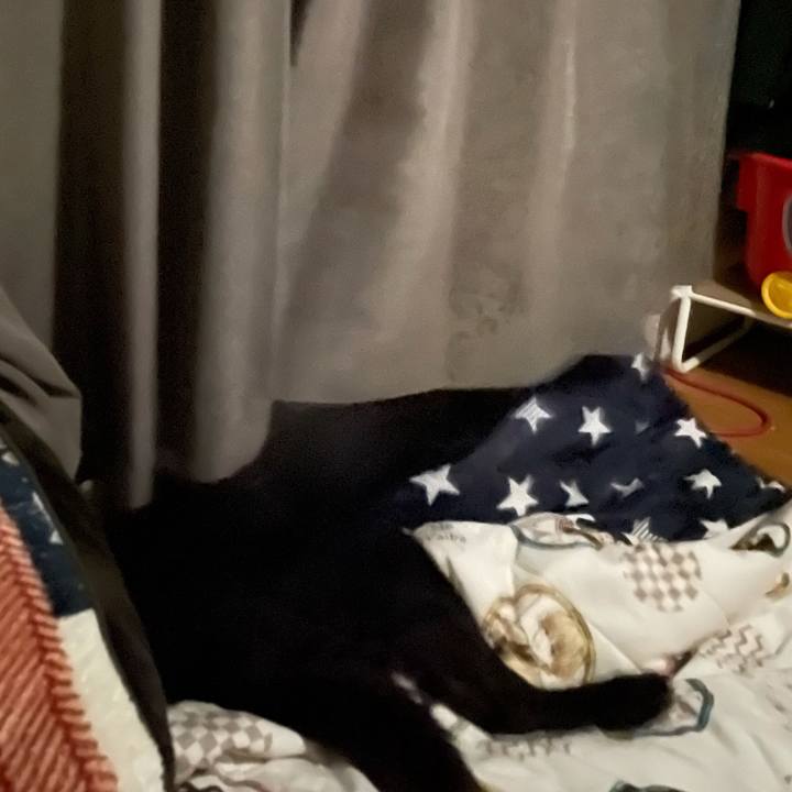 1c4b31ea 37d3 48fa abea 9dc5a4a317be 1624286733315