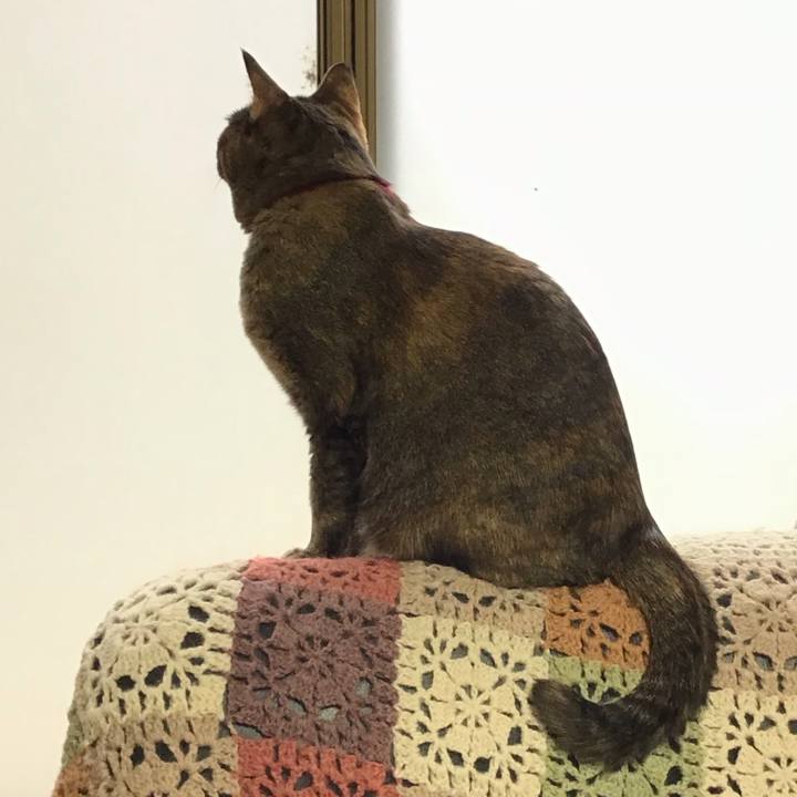 1c4b6dee 5fb0 4339 88f2 af5fe37d6d4a 1708850792881