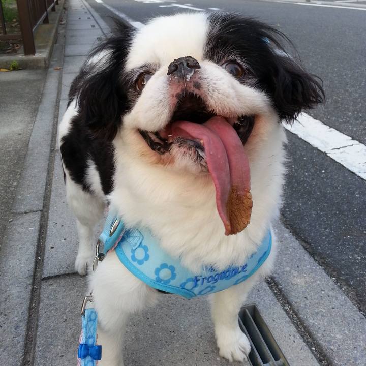 1c4b825e 202b 4370 98cd b9e4f50b85ec 1597580308710