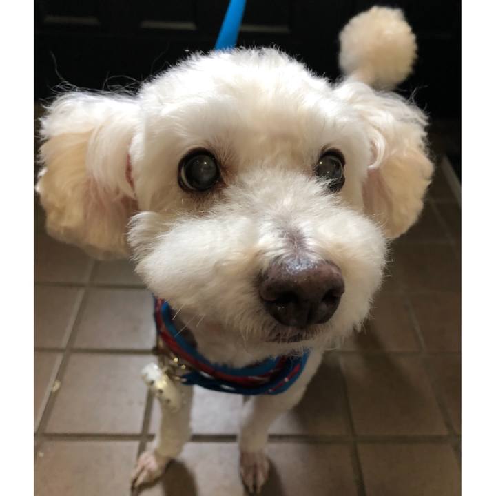 1c4bc946 3011 4758 9e5c cb793a6c9588 1535123513377