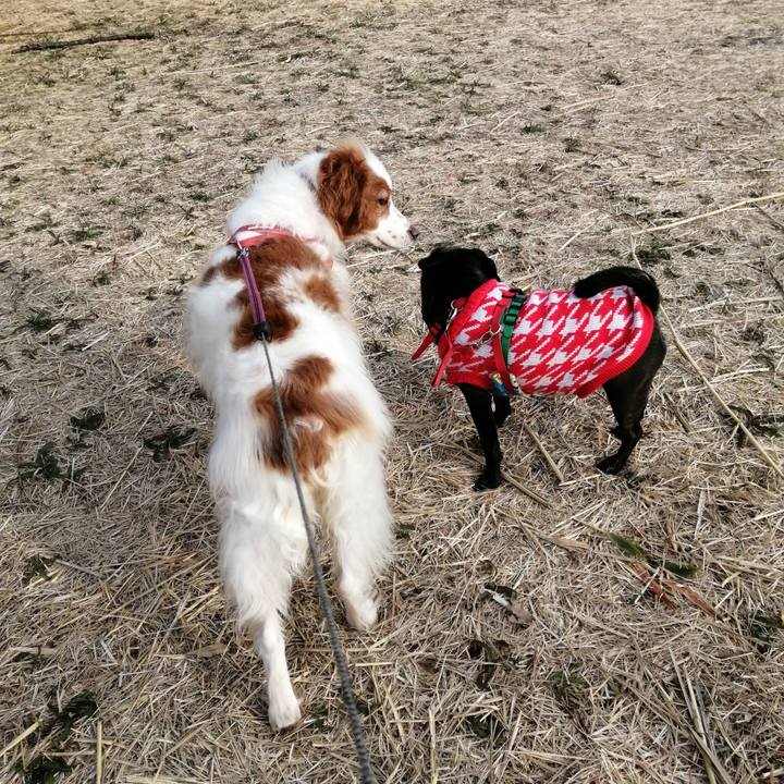 1c4bdf0b 03b7 400e bf3d 33048d3e4e9b 1615807952344