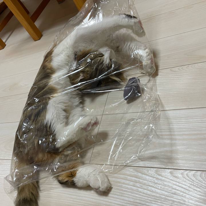 1c4bfb6e 4515 4912 b917 690206bbe6e7 1666615830395