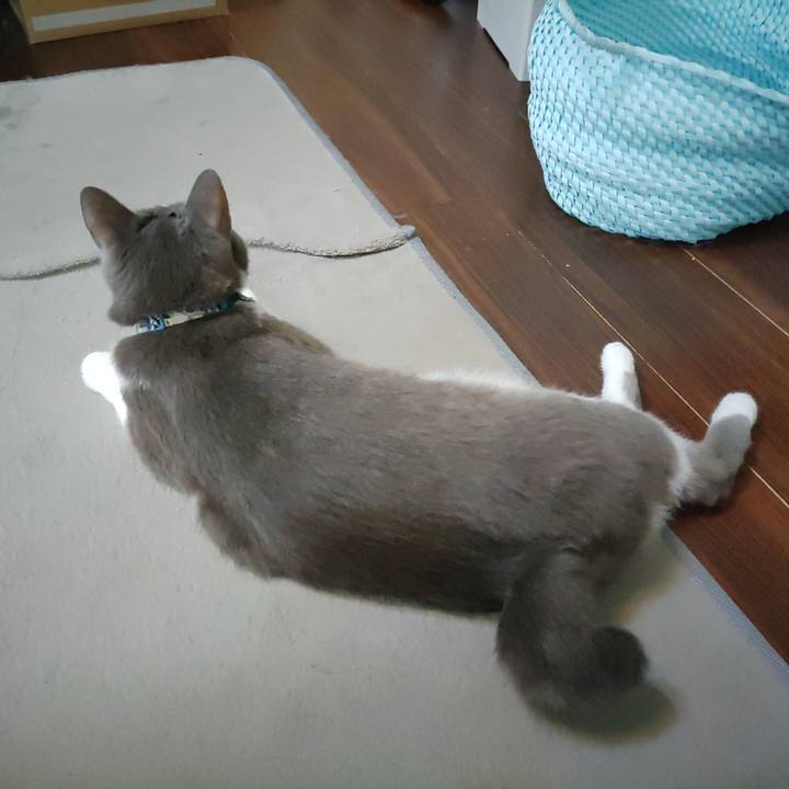 1c4c04c7 1b6e 409e aac6 816272400fb1 1695161380764