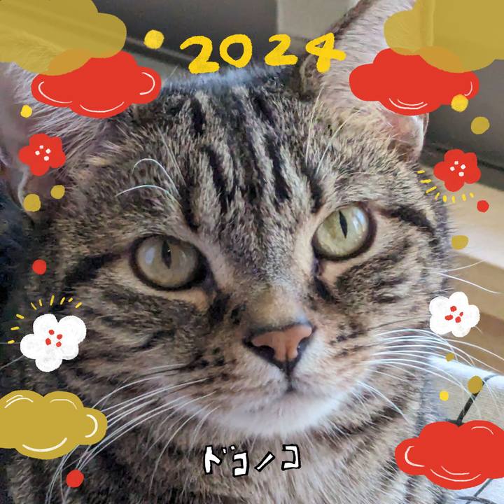 1c4c239c 548c 476f a821 4b322a6d2f1e 1704110331194