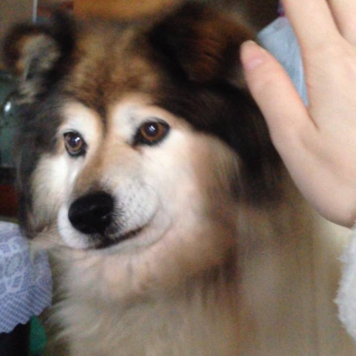 1c4c3994 f345 4886 b67d f2614adfe104 1627532676048