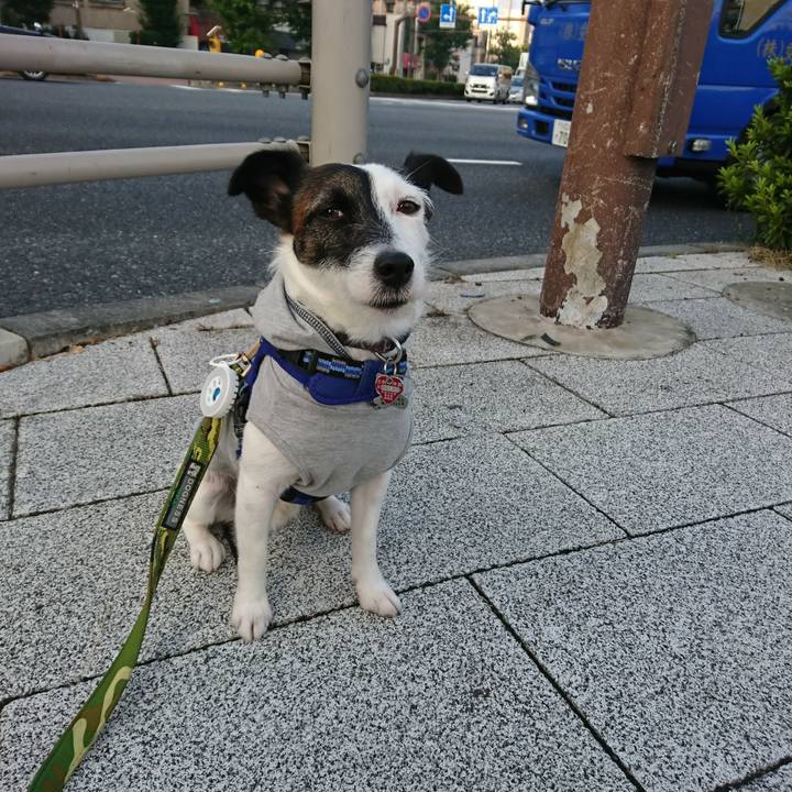 1c4c491b 5ddc 4c92 9085 b6b85e182b4e 1507759514412