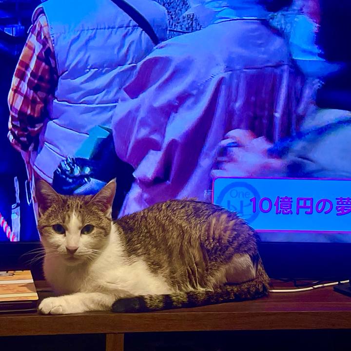 1c4c5b6c e54c 4ddb b8be ab95f70ea2c4 1637743223425