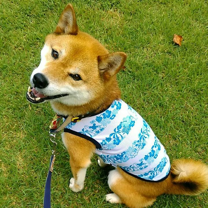 1c4c845c d231 42f2 9331 95907f7c2c2f 1564192388856