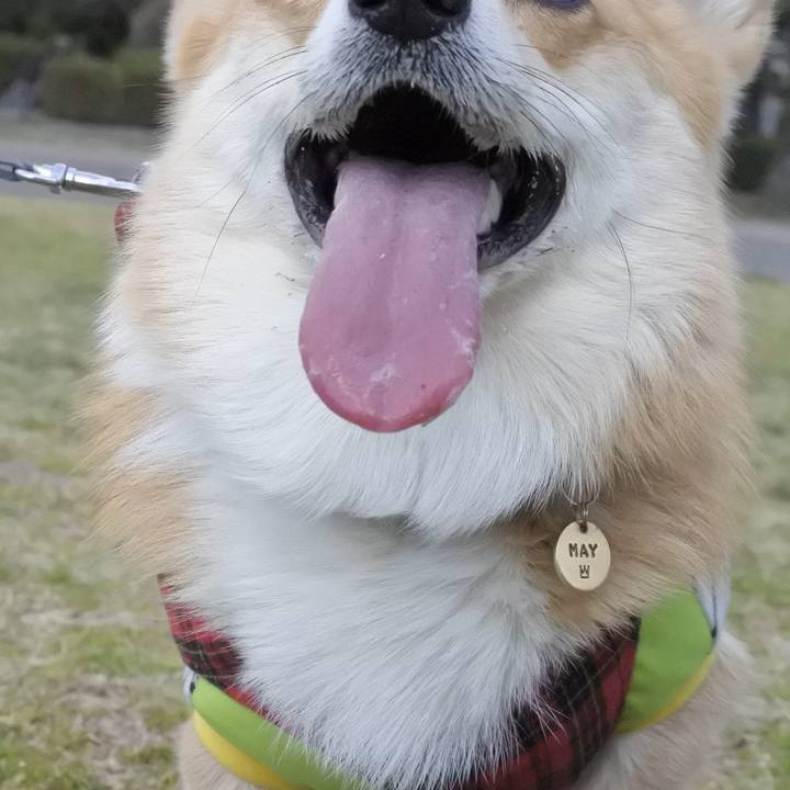 1c4c8ebf 81ce 4d81 a275 75a43b28d1c1 1554717448609