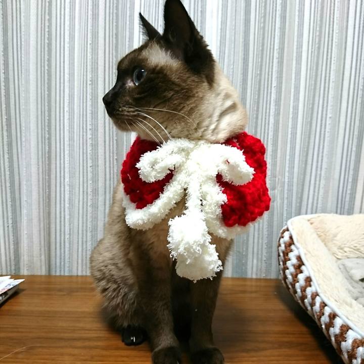 1c4d1825 ac97 46f0 b077 0952df479b06 1542460961087